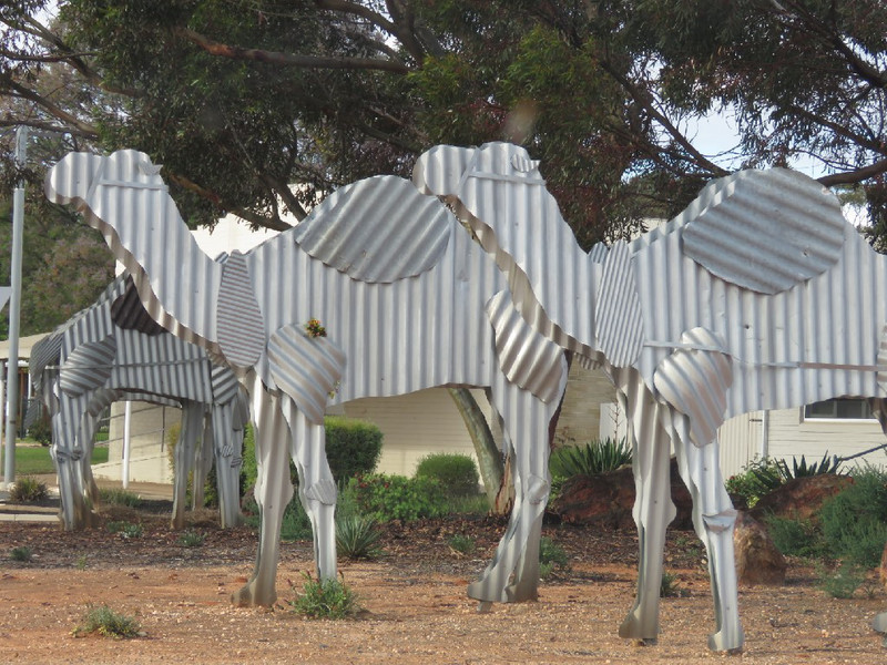 Corrugated camels commemorating early travel in area