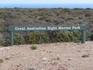 The Southern right whales breeding area