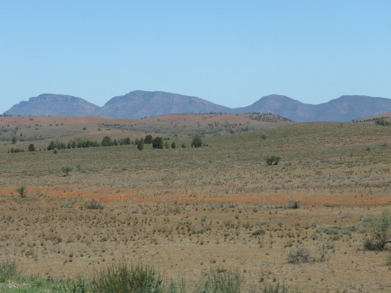 Flinders Ranges near Blinman