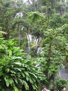 Waterfall, El Yunque