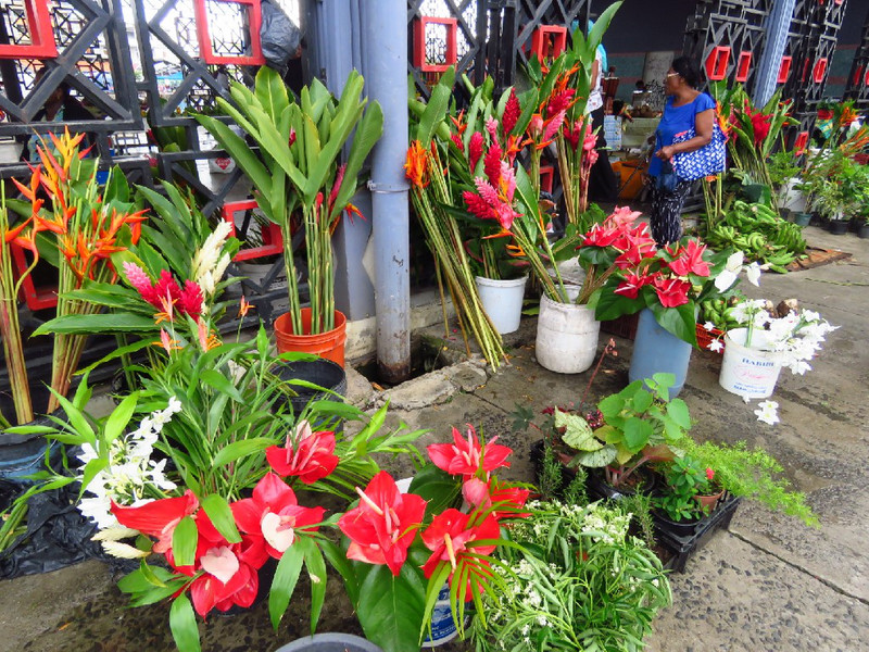 Flowers for sale in Guadeloupe