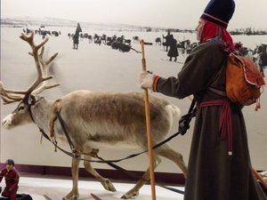 Missed out these Sami pictures from the museum in Jokkmokk, Sweden