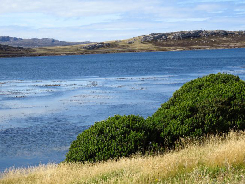 Entrance to Stanley Harbour