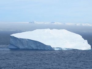 Huge icebergs, this one 1.6 kilometres long