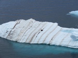 Part of iceberg, shows annual snow fall between dark lines