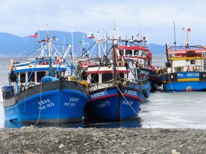 Fishing boats near Punta Arenas
