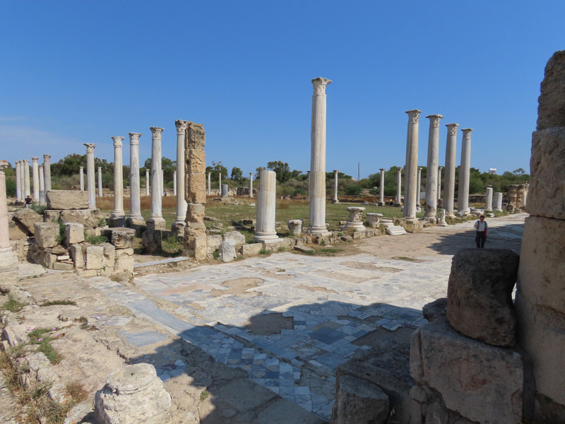 Ancient Salamis, the Gymnasium