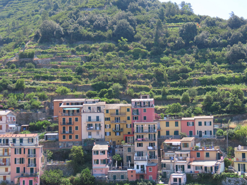 The Roman terracing in Cinque Terre villages