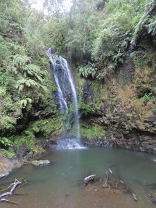 Waterfall near Nature Lodge