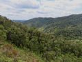 View from top of ridge at Andasibe