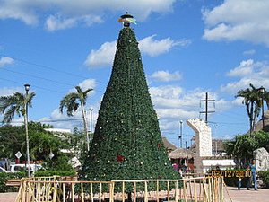 Tulum christmas tree