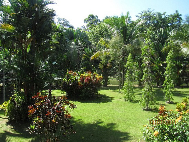The gardens at Sepilok Jungle Resort