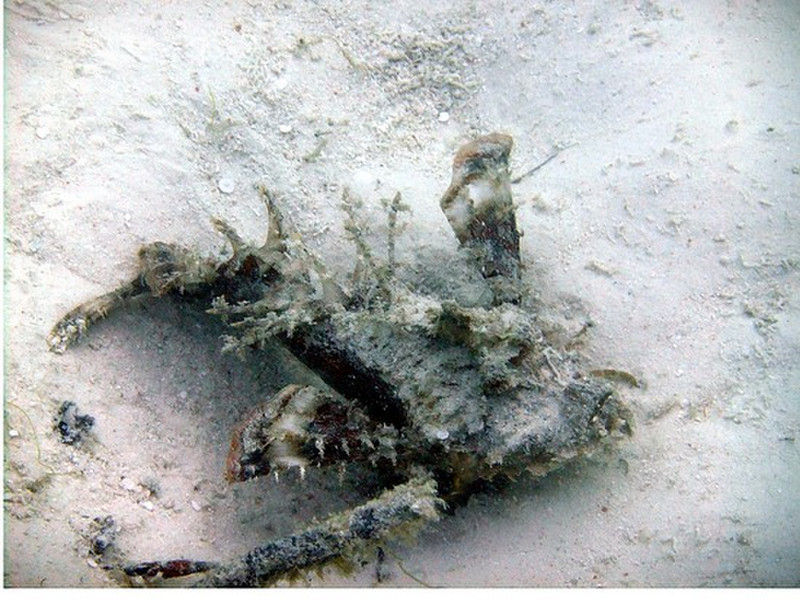 Scorpion fish - one of the dangers, poisonous