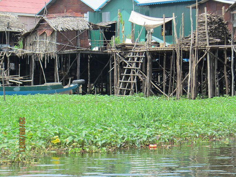 Houses in floating village