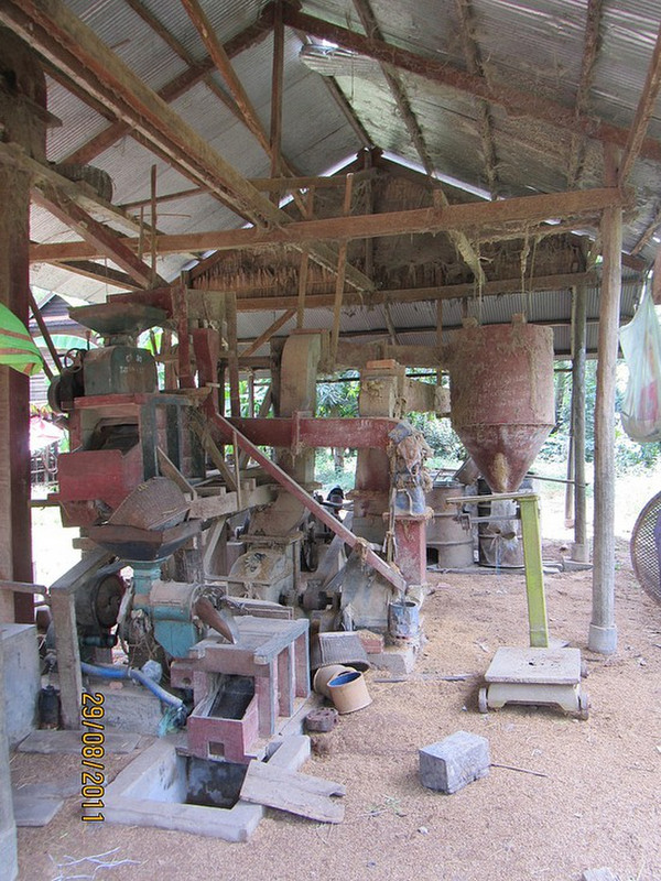 The rice processing machine
