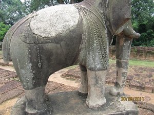 Not forgetting the elephants!