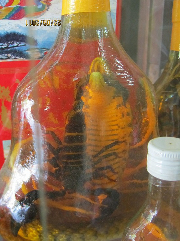 Snake head wine with scorpion
