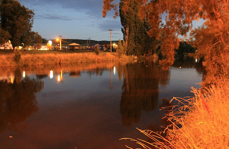 Night view of river when platypus hunting