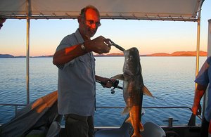 Jim caught an edible catfish!