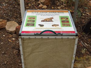 Box for live cane toad