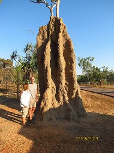 Cathedral Termite Mound about 60-70 years old
