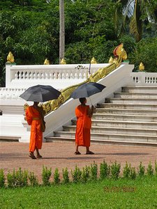 Even the monks need shade