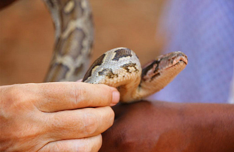 Me holding snake