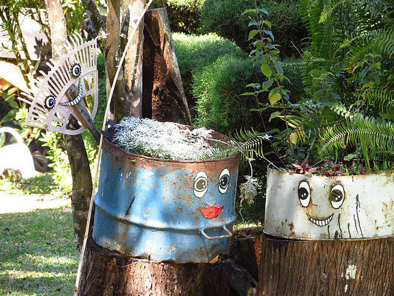 Garden where everything had eyes, disconcerting!