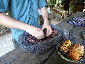 Grinding the cacoa seeds