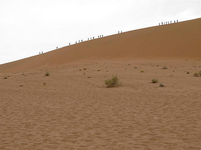 People walking up dune