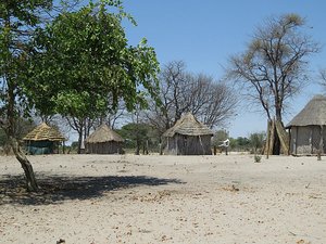 Traditional Botswana Cattle Post