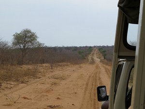 Long deserted road in Moremi