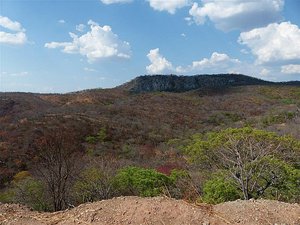 Typical Zambian scenery