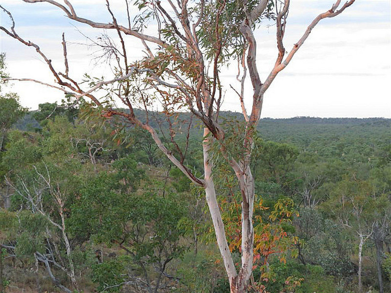 View from Lookout at Undarra