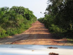 Road into Pantanal
