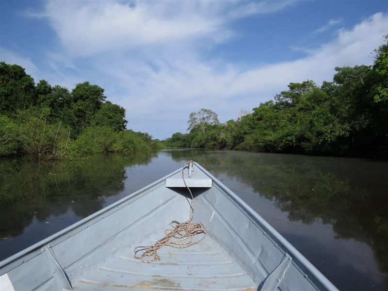 River at Santa Clara, Pantanal