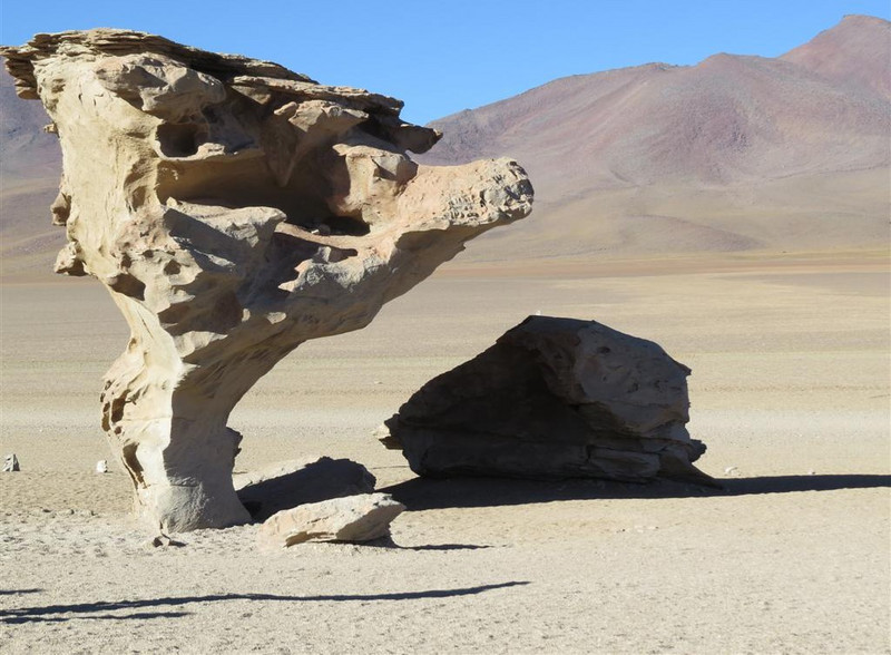 Stone tree resulting from wind erosion.