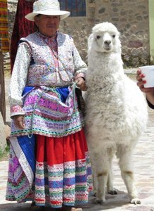 Lady with large Llama