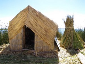 A reed house