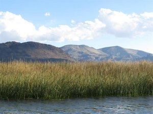 View of mountains and reeds from lake.
