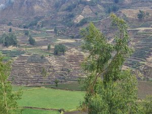 Ancient Inca terracing