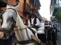 Carriages clip clop through town