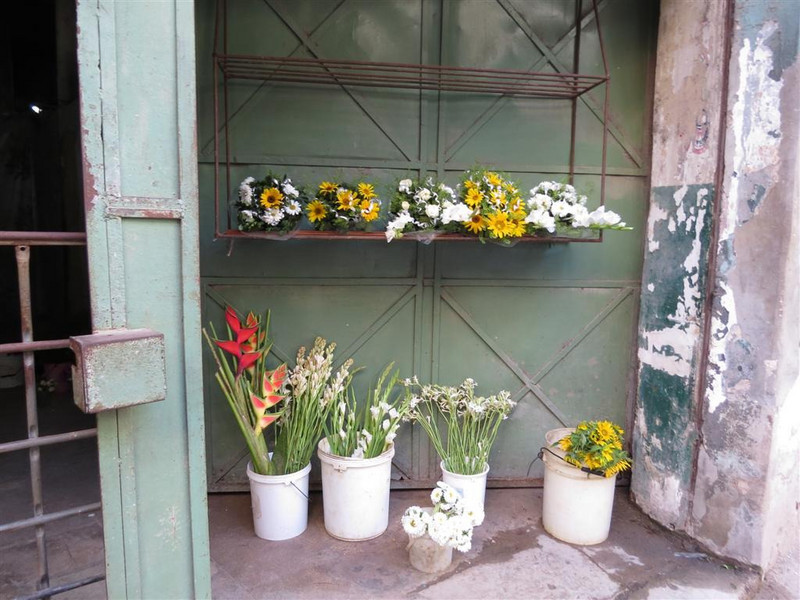 The only flower shop we saw - Havana