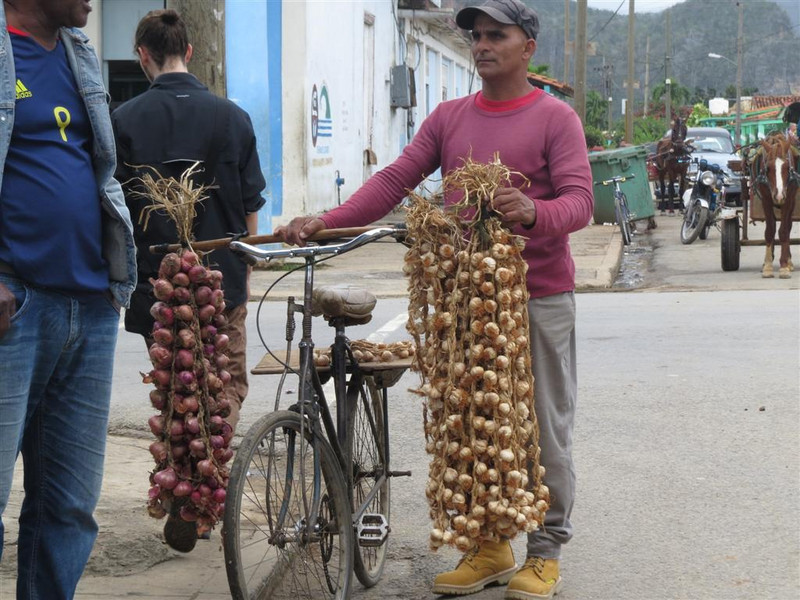 Onion and garlic seller - main &#39;vegetable&#39;