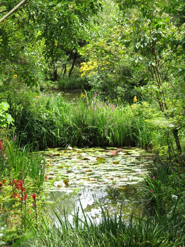 The &#39;Monet&#39; Garden at Chichu Museum