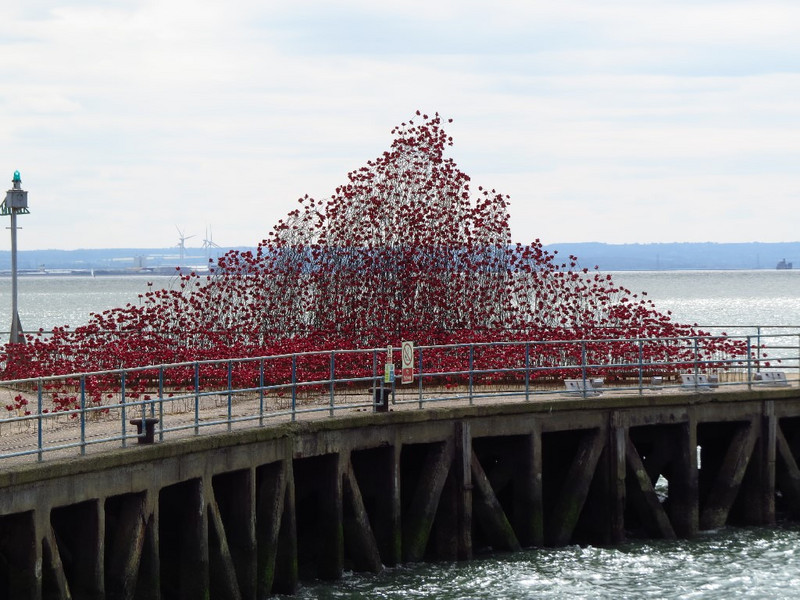 Art Installation of red poppies at Southend 