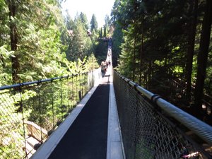 The 450 metre wobbly suspension bridge