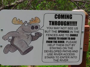 Moose paths protected.