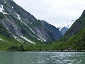 U shaped valley created by a glacier, home of brown bears, rather than black.