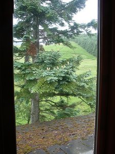 my view from room in Laggan, Scotland